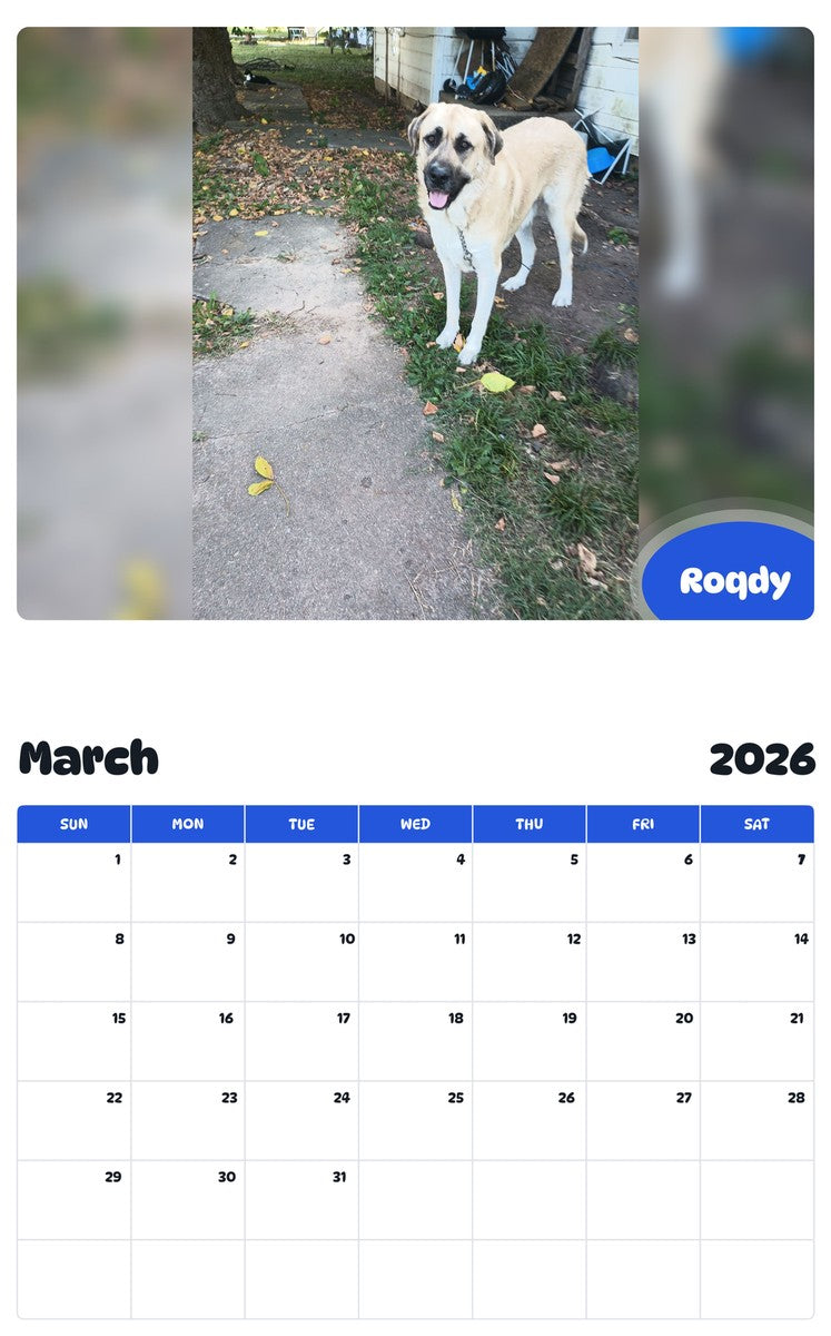 November 2025 - October 2026 Roqdy - Pawidols Pet Calendar
