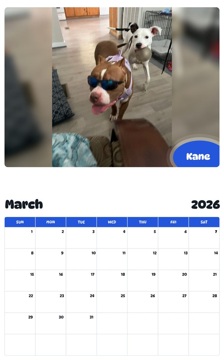 November 2025 - October 2026 Kane - Pawidols Pet Calendar