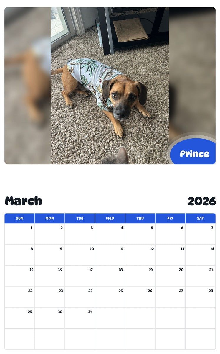 November 2025 - October 2026 Prince - Pawidols Pet Calendar