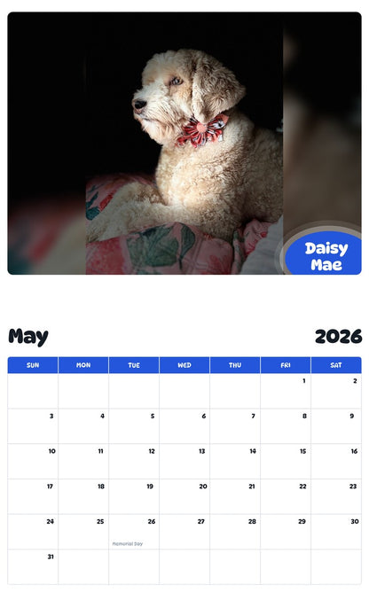 2026 - 2027 Daisy Mae - Pawidols Pet Calendar