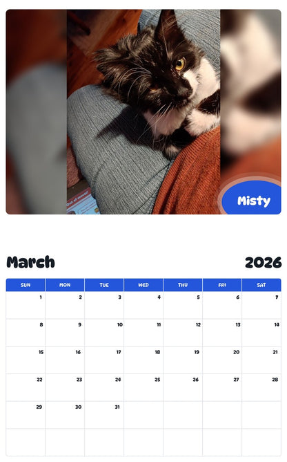 November 2025 - October 2026 Misty - Pawidols Pet Calendar