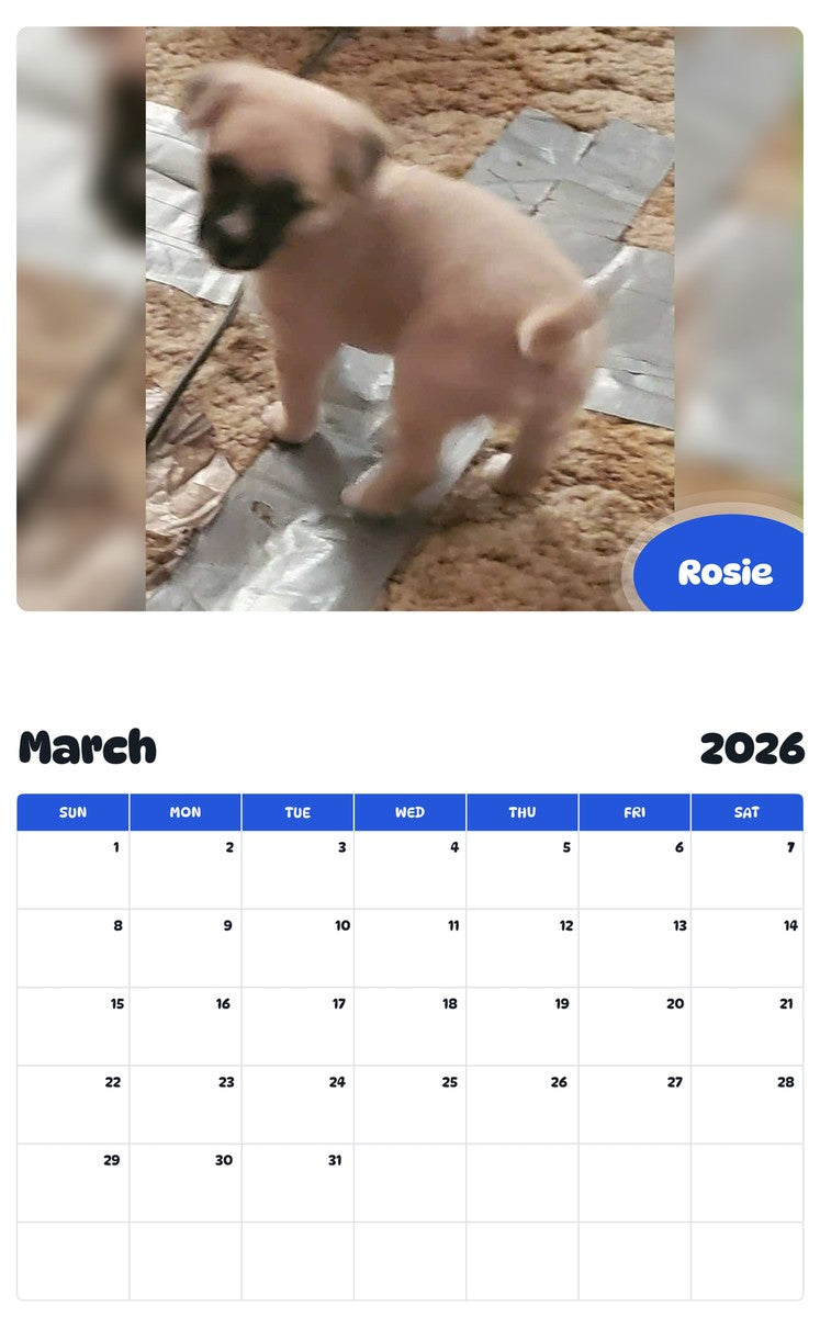 November 2025 - October 2026 Rosie - Pawidols Pet Calendar