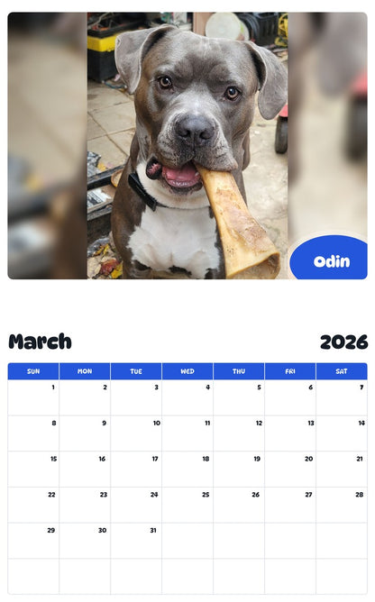 November 2025 - October 2026 Odin - Pawidols Pet Calendar