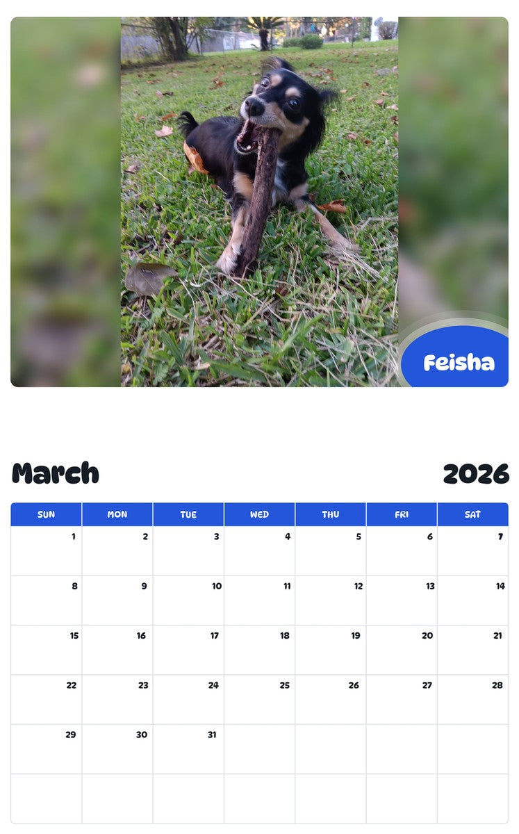 November 2025 - October 2026 Feisha - Pawidols Pet Calendar