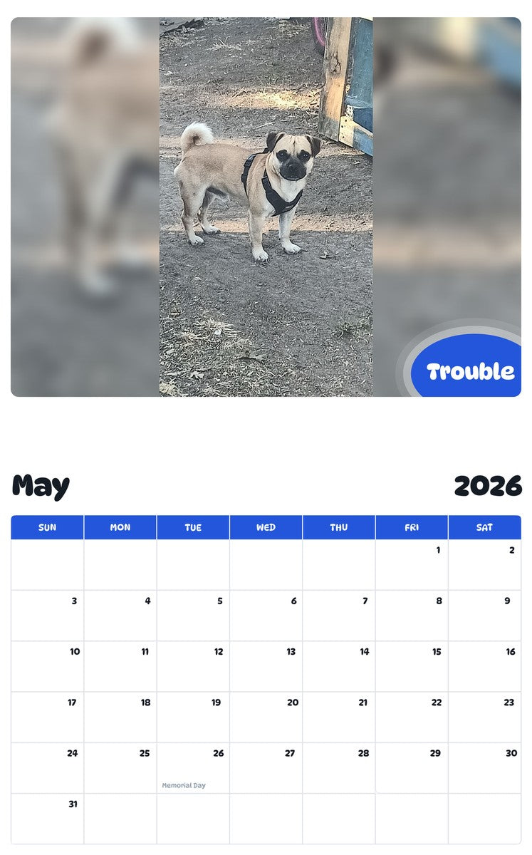 2026 - 2027 Trouble - Pawidols Pet Calendar
