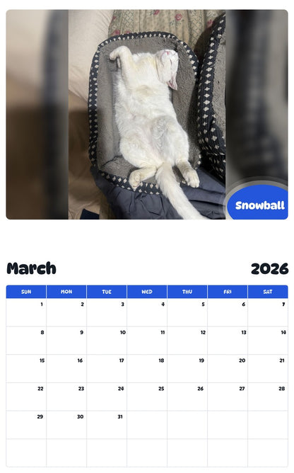 November 2025 - October 2026 Snowball - Pawidols Pet Calendar