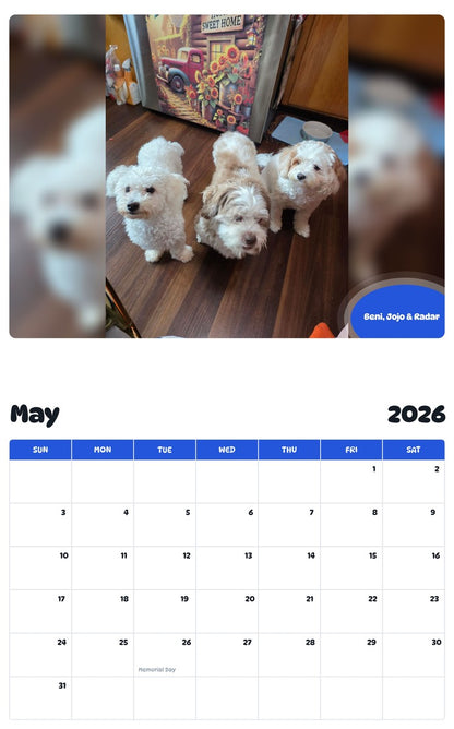 2026 - 2027 Beni, Jojo & Radar - Pawidols Pet Calendar