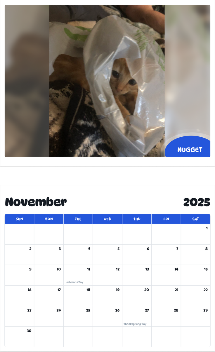 July 2025 - June 2026 Nugget - Pawidols Pet Calendar