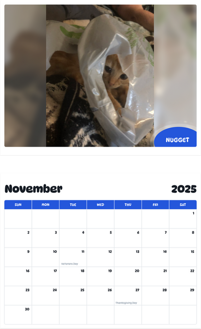July 2025 - June 2026 Nugget - Pawidols Pet Calendar