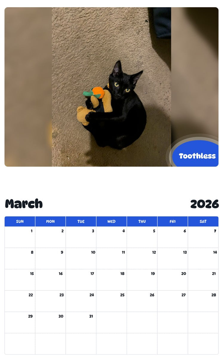 November 2025 - October 2026 Toothless - Pawidols Pet Calendar