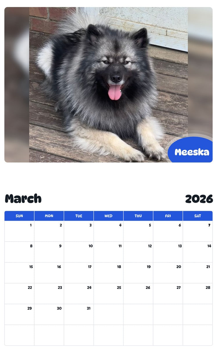 November 2025 - October 2026 Meeska - Pawidols Pet Calendar