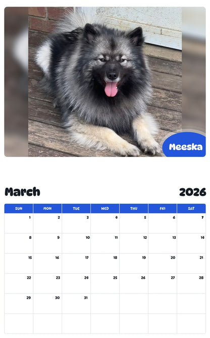 November 2025 - October 2026 Meeska - Pawidols Pet Calendar