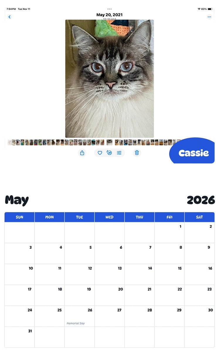 2026 - 2027 Cassie - Pawidols Pet Calendar