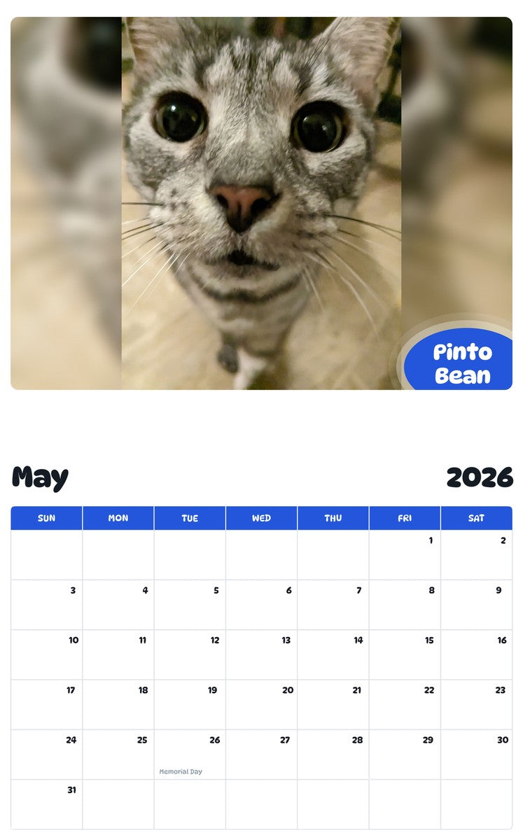 2026 - 2027 Pinto Bean - Pawidols Pet Calendar
