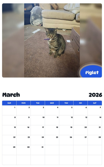 November 2025 - October 2026 Piglet - Pawidols Pet Calendar