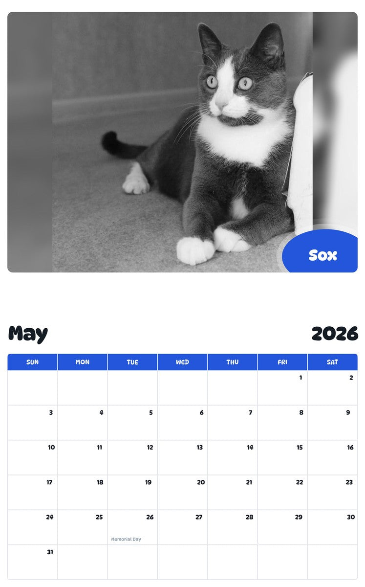2026 - 2027 Sox - Pawidols Pet Calendar