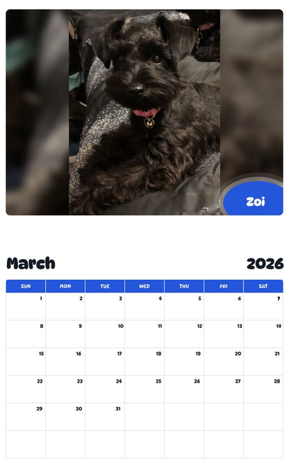November 2025 - October 2026 Zoi - Pawidols Pet Calendar