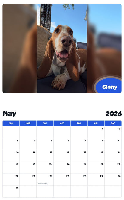 2026 - 2027 Ginny - Pawidols Pet Calendar