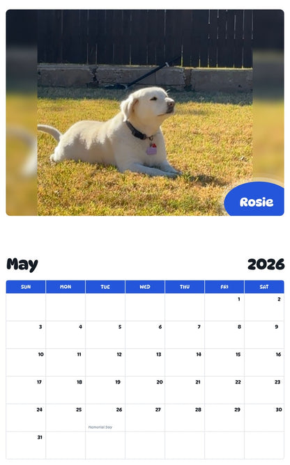 2026 - 2027 Rosie - Pawidols Pet Calendar