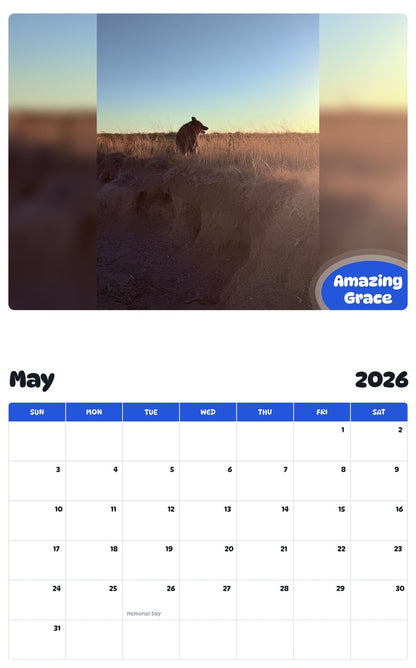 2026 - 2027 Amazing Grace - Pawidols Pet Calendar