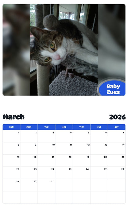 November 2025 - October 2026 Baby Zues - Pawidols Pet Calendar