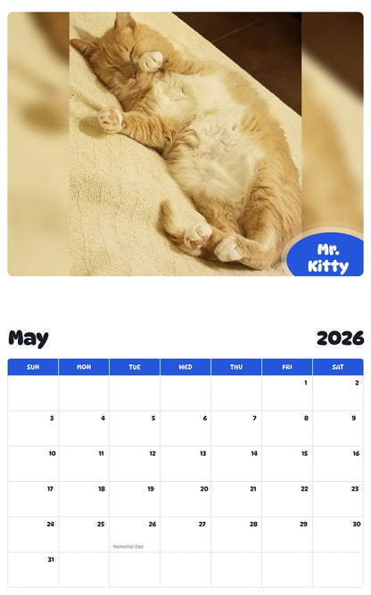 2026 - 2027 Mr. Kitty - Pawidols Pet Calendar