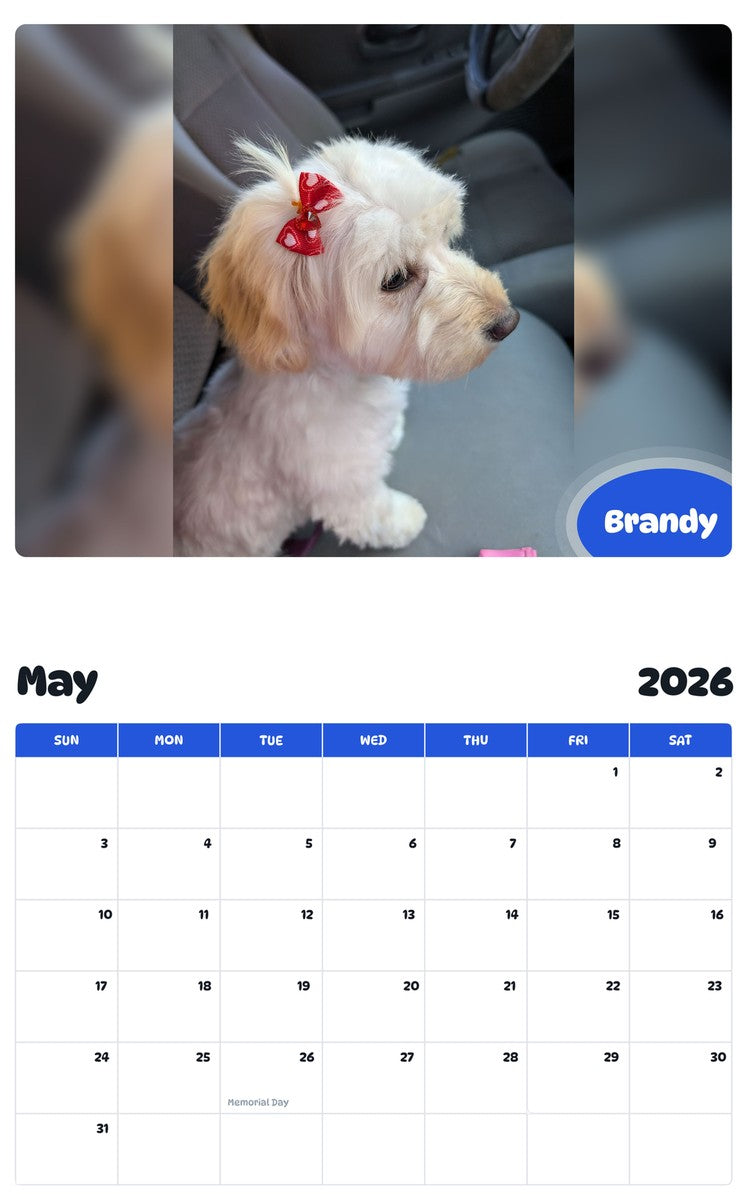 2026 - 2027 Brandy - Pawidols Pet Calendar