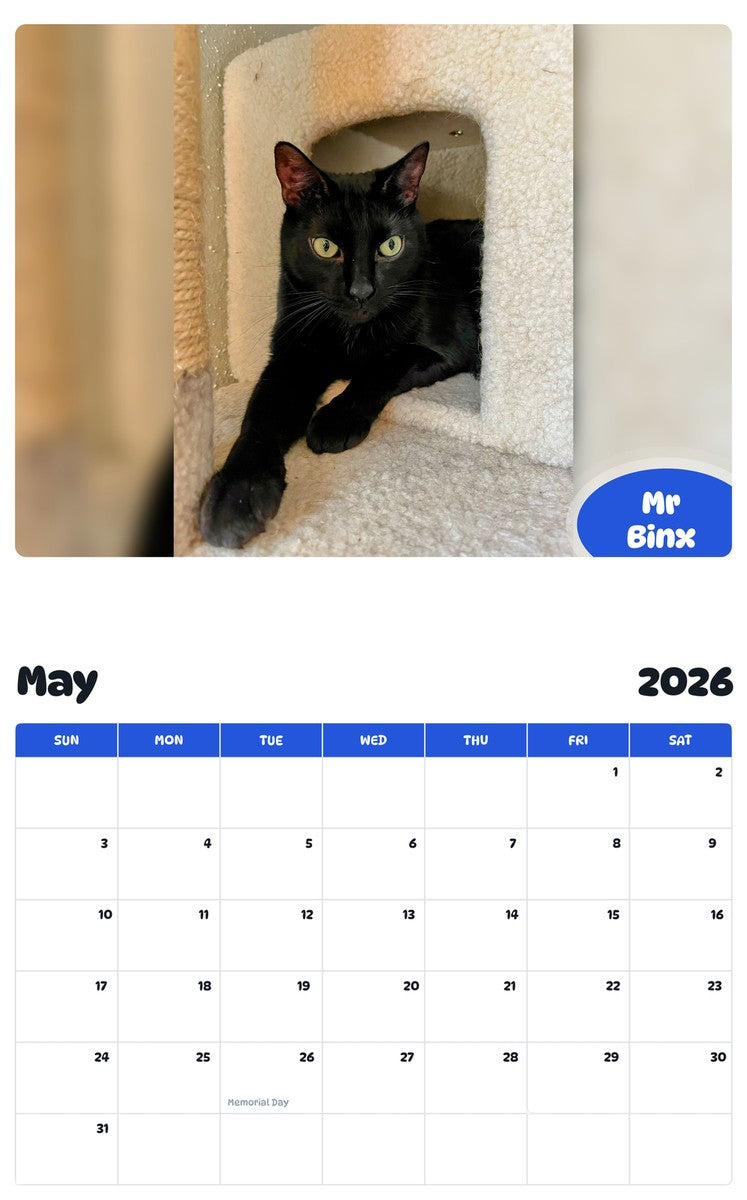 2026 - 2027 Mr Binx - Pawidols Pet Calendar