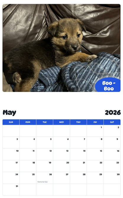 2026 - 2027 Boo -Boo - Pawidols Pet Calendar