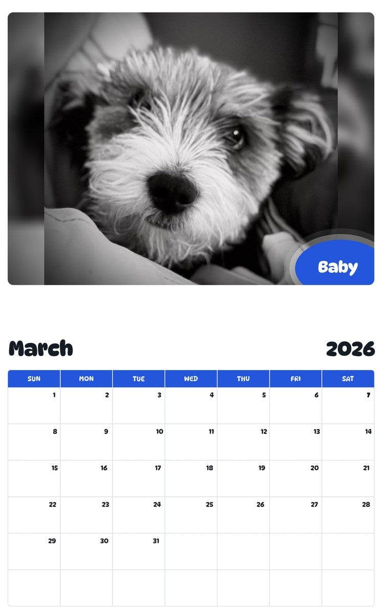 November 2025 - October 2026 Baby - Pawidols Pet Calendar