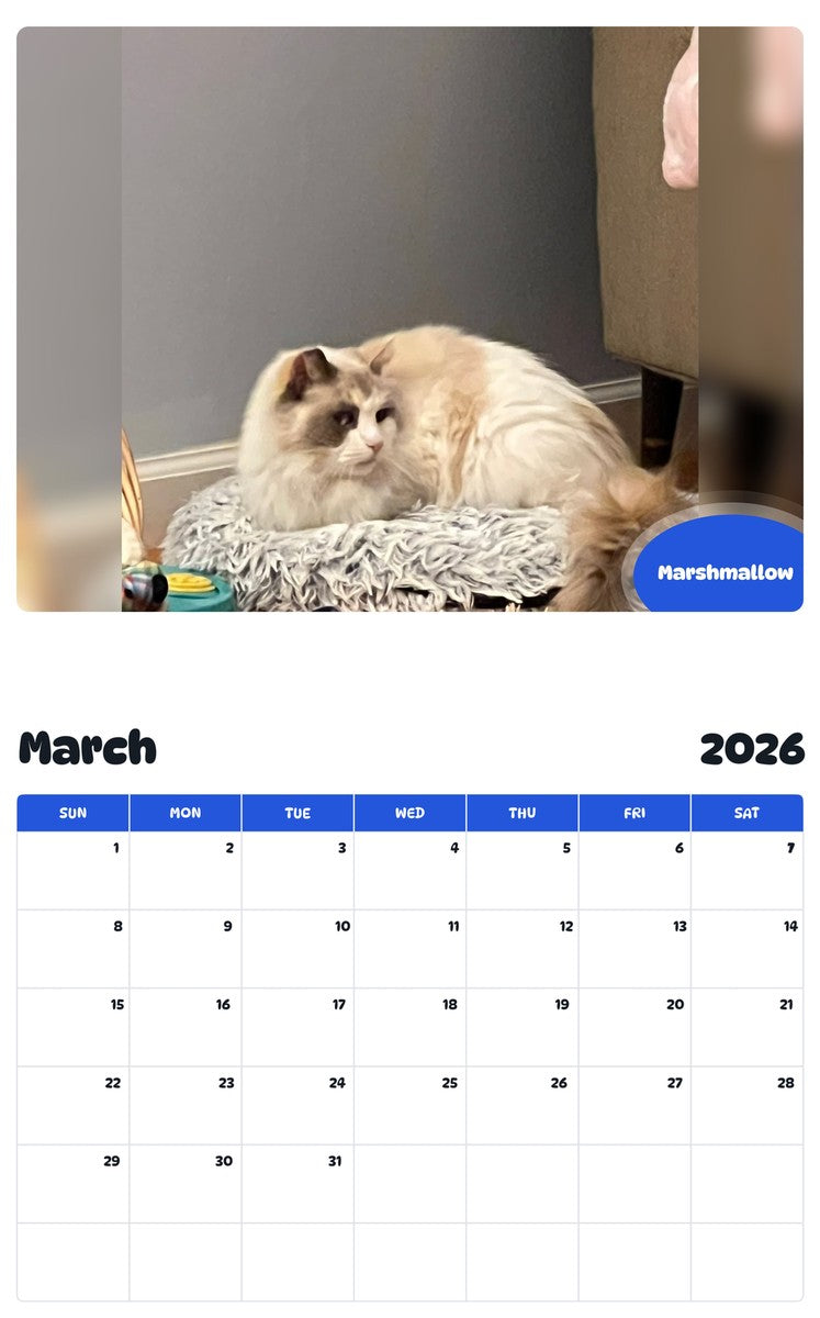 November 2025 - October 2026 Marshmallow - Pawidols Pet Calendar
