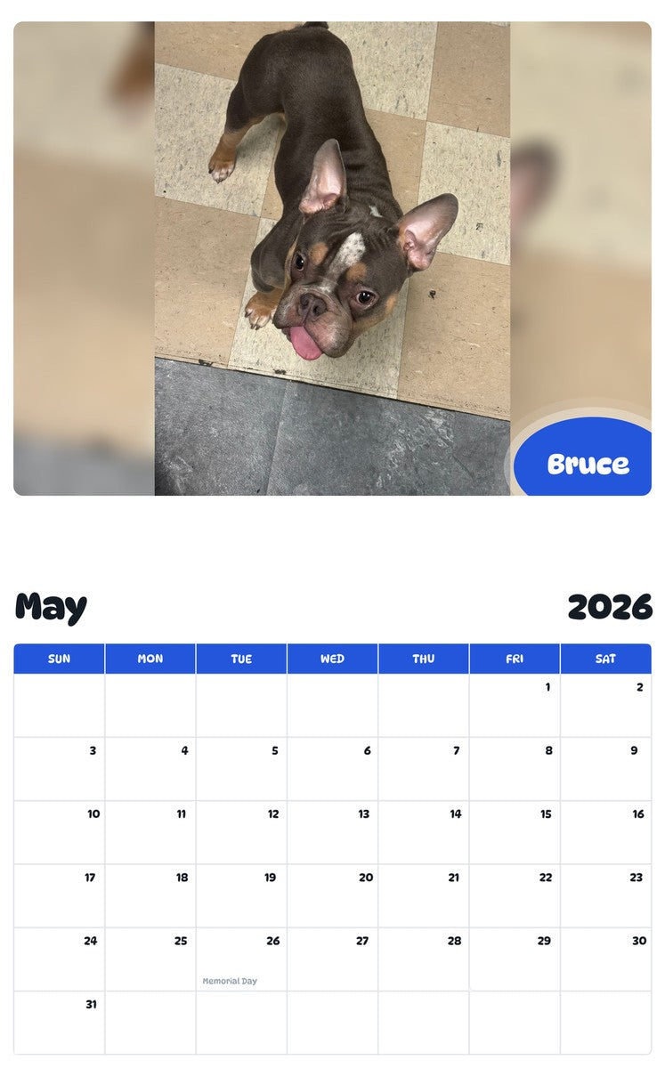 2026 - 2027 Bruce - Pawidols Pet Calendar