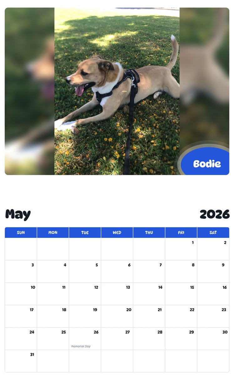 2026 - 2027 Bodie - Pawidols Pet Calendar