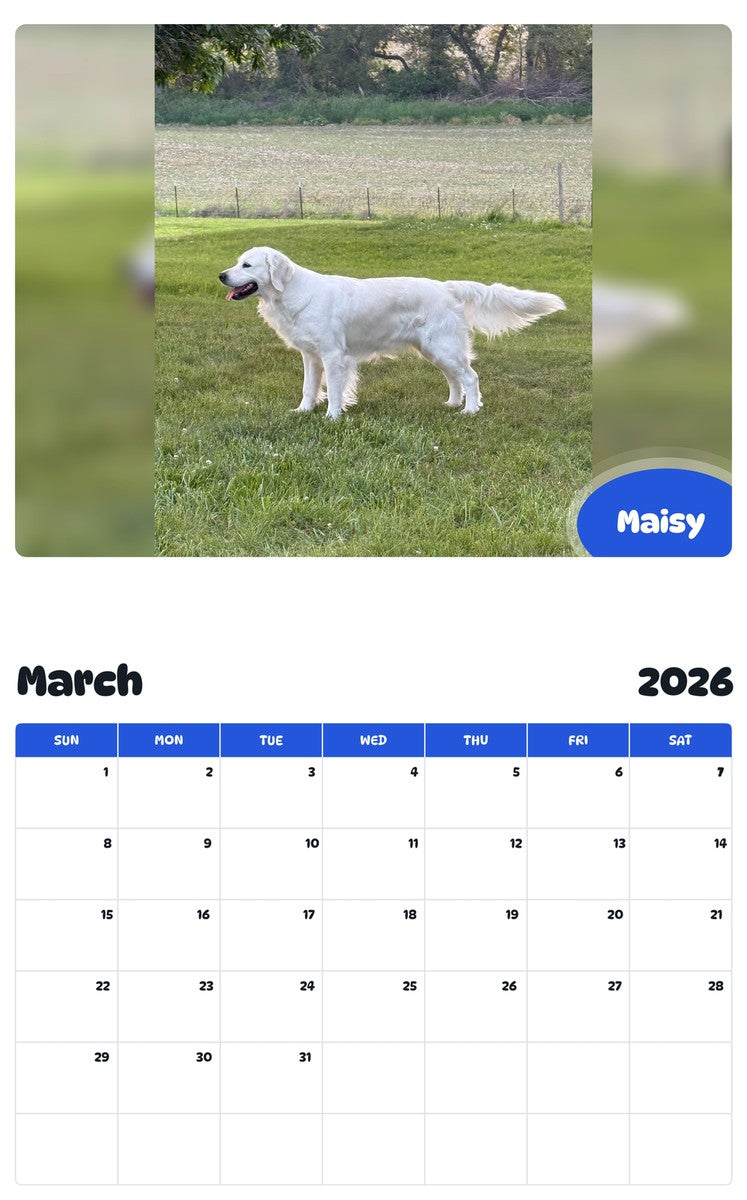 November 2025 - October 2026 Maisy - Pawidols Pet Calendar