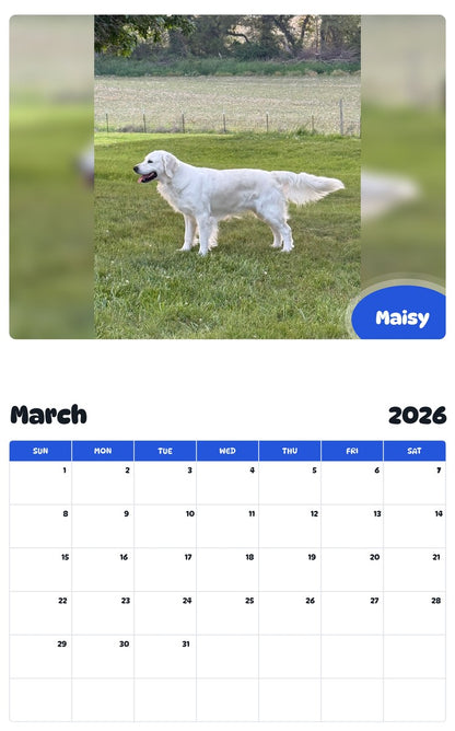 November 2025 - October 2026 Maisy - Pawidols Pet Calendar