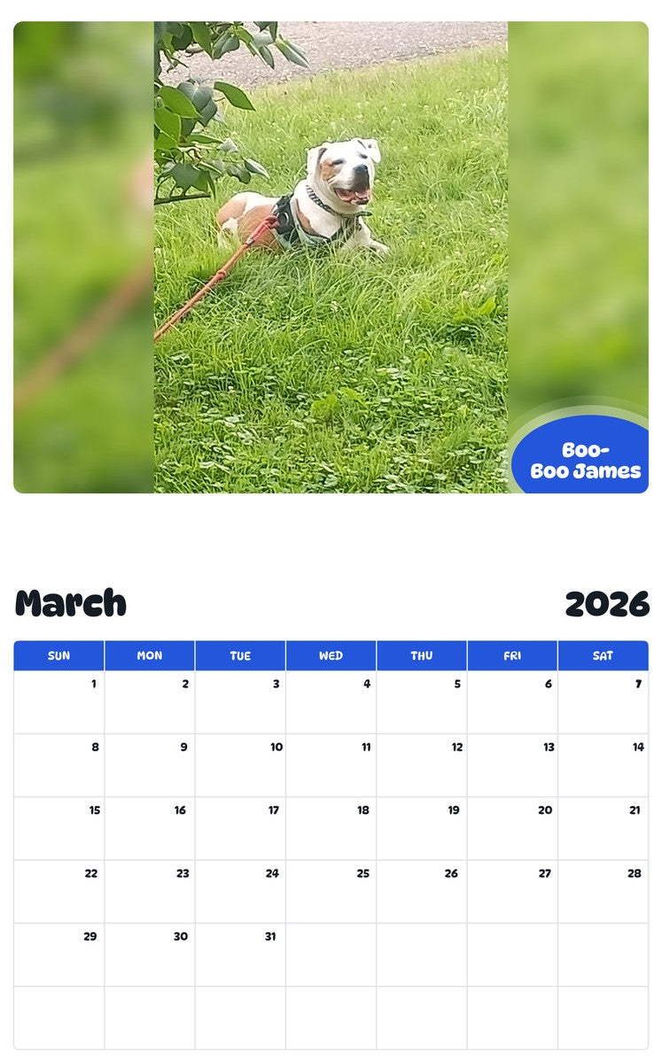 November 2025 - October 2026 Boo-Boo James - Pawidols Pet Calendar