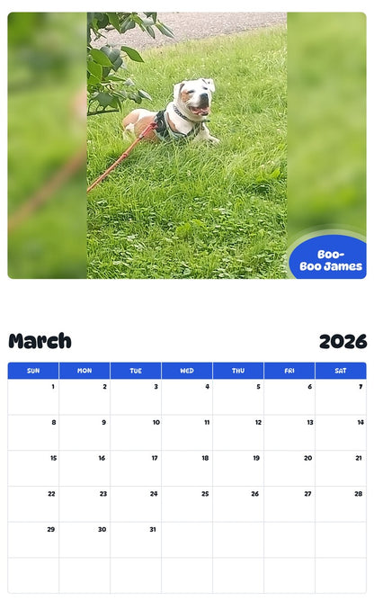 November 2025 - October 2026 Boo-Boo James - Pawidols Pet Calendar