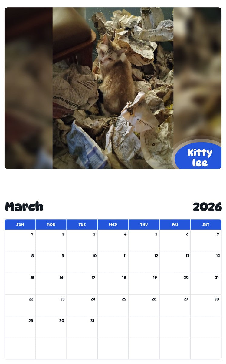 November 2025 - October 2026 Kitty lee - Pawidols Pet Calendar