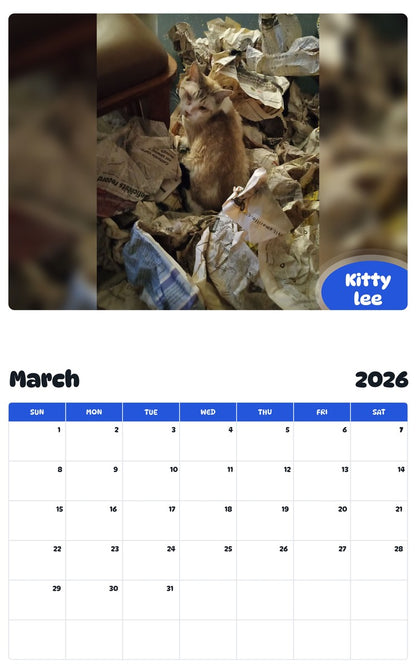 November 2025 - October 2026 Kitty lee - Pawidols Pet Calendar