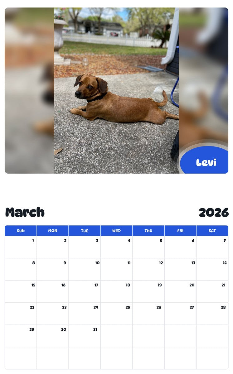 November 2025 - October 2026 Levi - Pawidols Pet Calendar