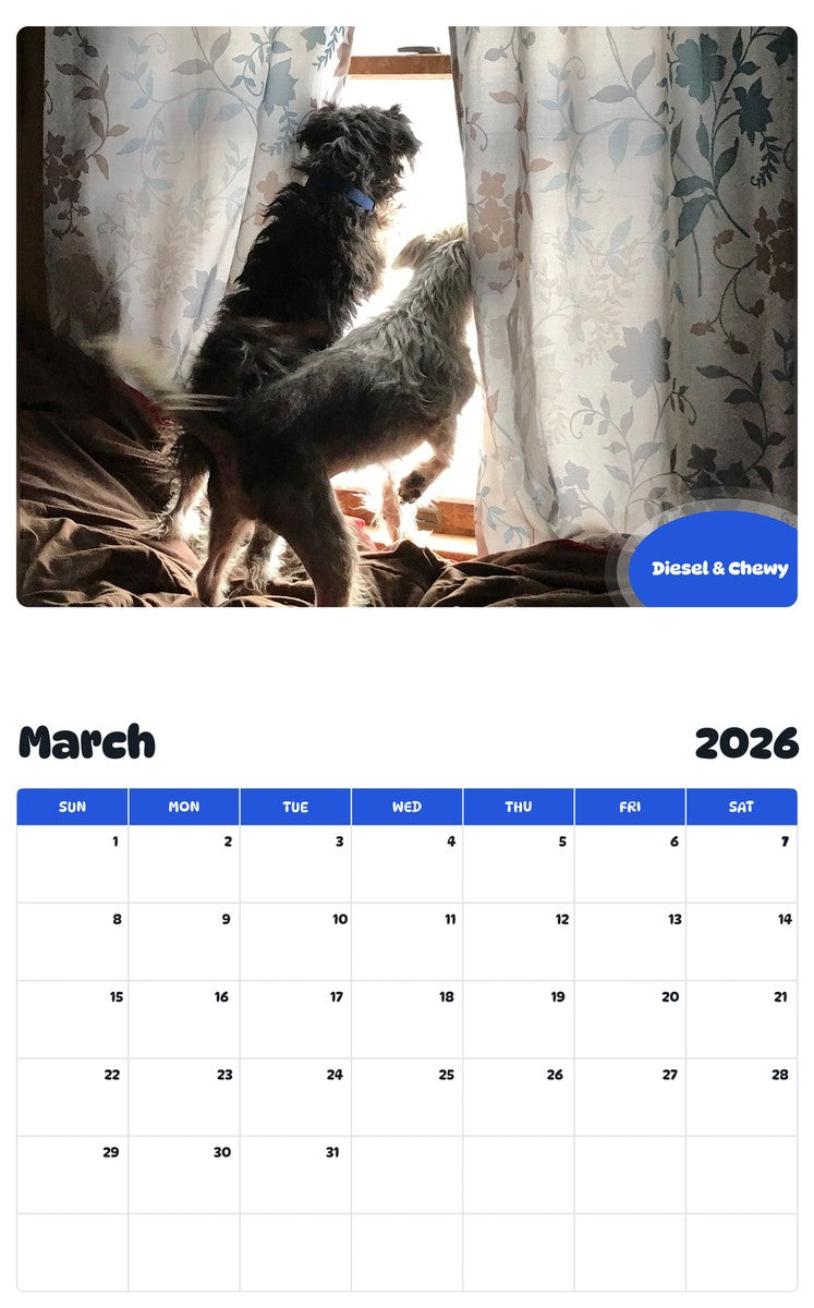 November 2025 - October 2026 Diesel & Chewy - Pawidols Pet Calendar