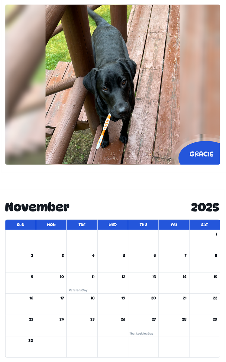 July 2025 - June 2026 Gracie - Pawidols Pet Calendar