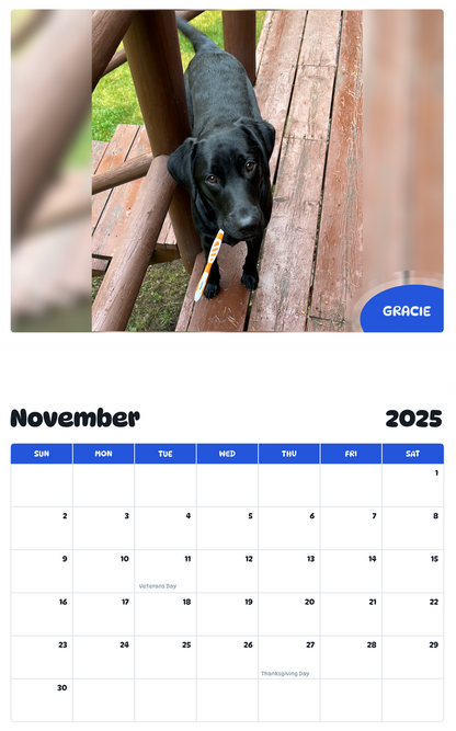 July 2025 - June 2026 Gracie - Pawidols Pet Calendar
