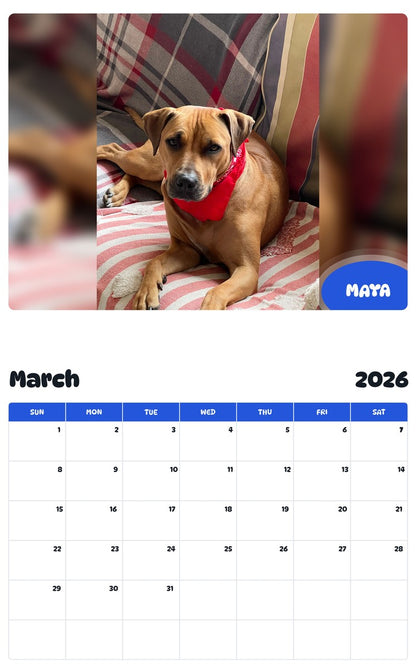 November 2025 - October 2026 MAYA - Pawidols Pet Calendar