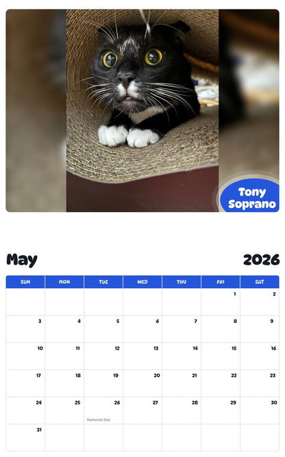 2026 - 2027 Tony Soprano - Pawidols Pet Calendar