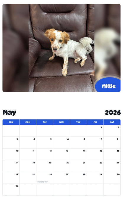 2026 - 2027 Millie - Pawidols Pet Calendar
