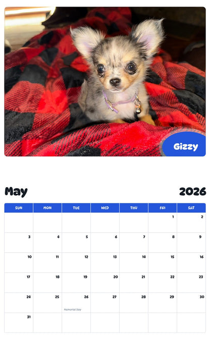 2026 - 2027 Gizzy - Pawidols Pet Calendar