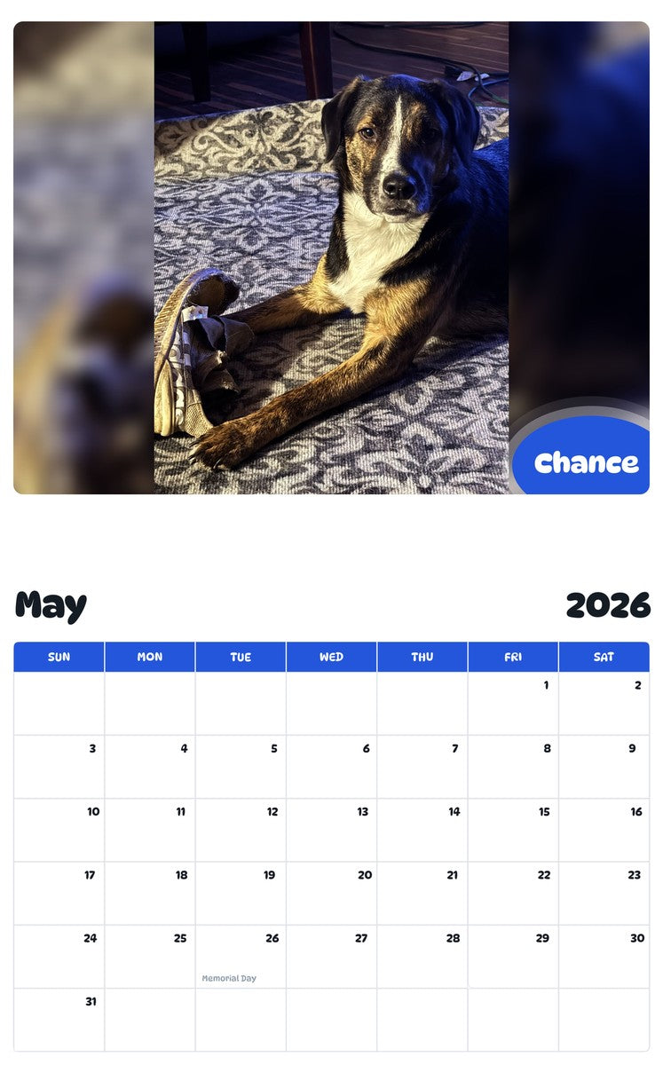 2026 - 2027 Chance - Pawidols Pet Calendar