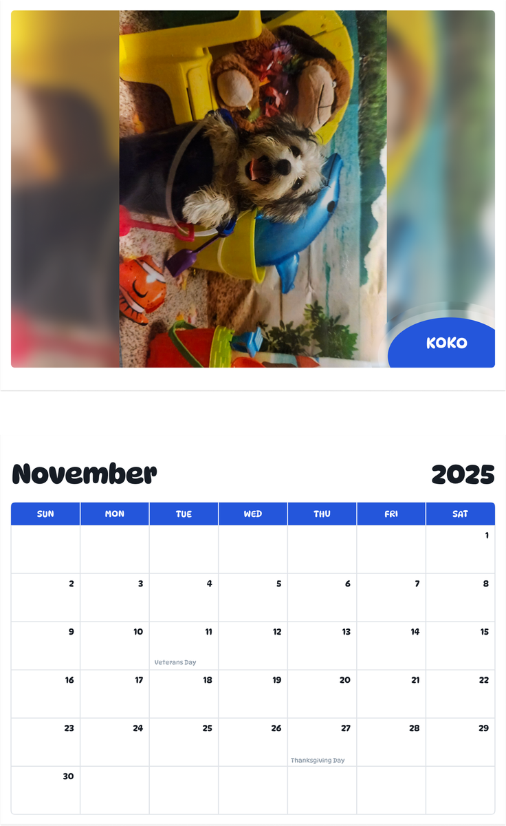 July 2025 - June 2026 Koko - Pawidols Pet Calendar