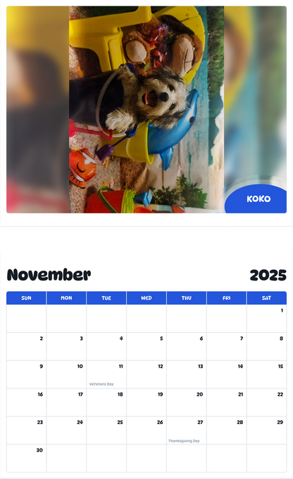 July 2025 - June 2026 Koko - Pawidols Pet Calendar